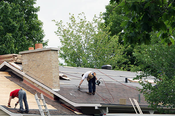 Best Storm Damage Roof Repair  in Minneota, MN